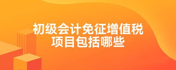 初级会计免征增值税项目包括哪些